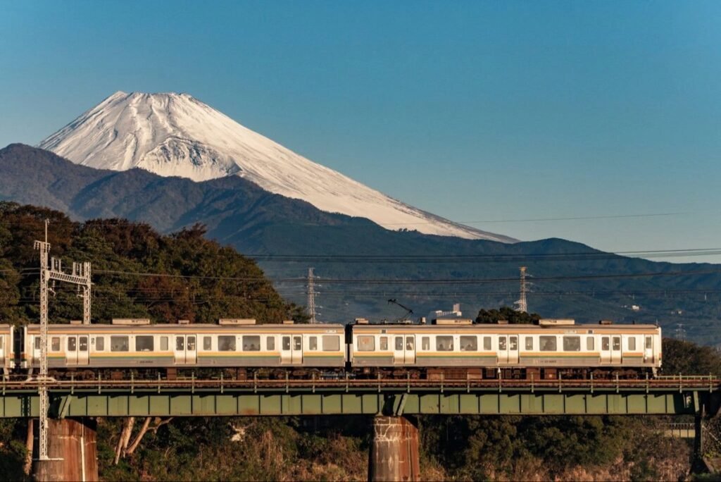 Nippon India Growth Mid Cap Fund